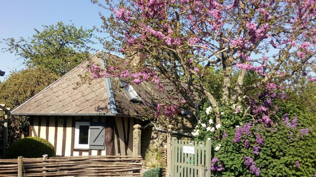 Hotel Au P'Tit Jardin Saint-Sylvestre-de-Cormeilles Zewnętrze zdjęcie