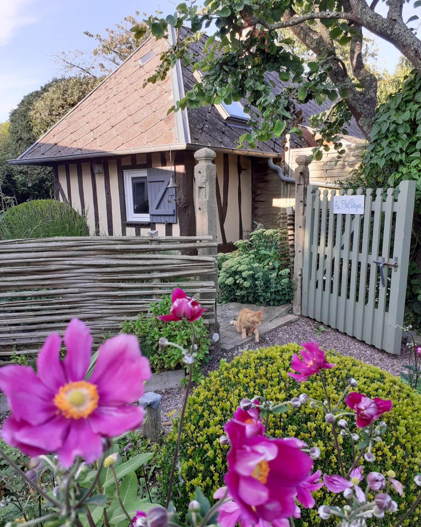 Hotel Au P'Tit Jardin Saint-Sylvestre-de-Cormeilles Zewnętrze zdjęcie